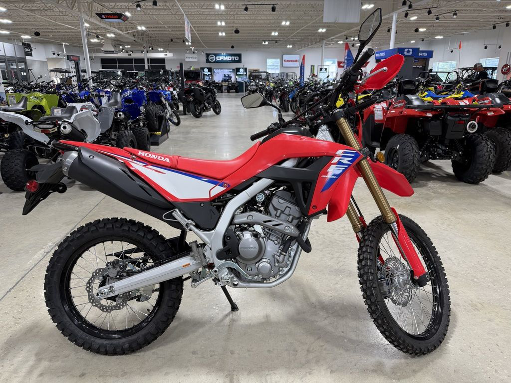 2025 Honda CRF 300LS 300LS in Tallahassee, FL
