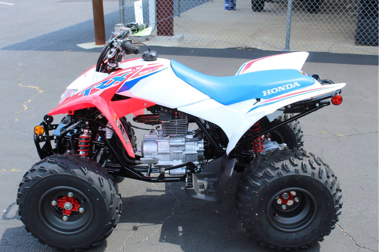 A photo of this 2026 Honda TRX250X