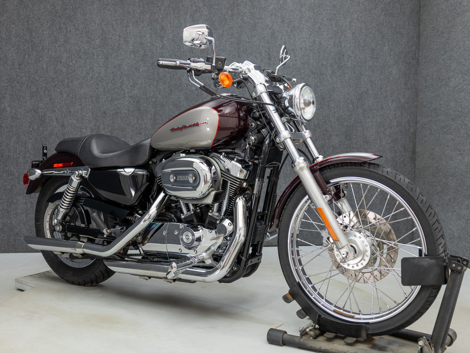 2007 Harley Davidson XL1200C SPORTSTER 1200 CUSTOM in Coxsackie, NY