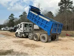 2017 FREIGHTLINER CASCADIA 125
