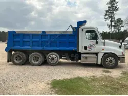 2017 FREIGHTLINER CASCADIA 125