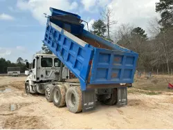 2017 FREIGHTLINER CASCADIA 125