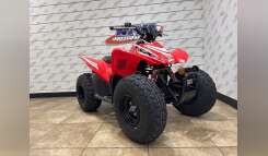 2026 Honda® TRX90X Youth ATV