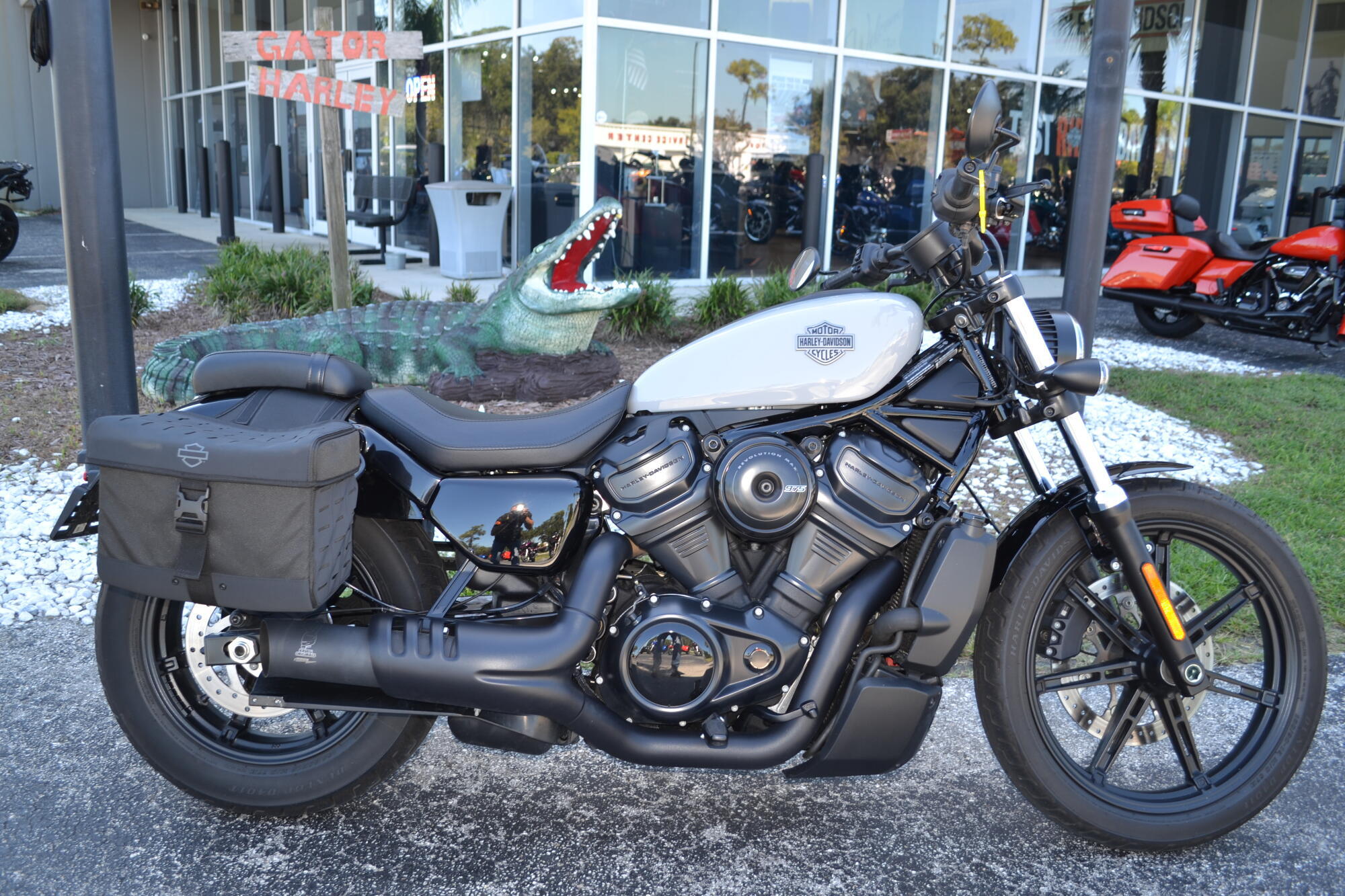 2025 Harley-Davidson Nightster in Leesburg, FL