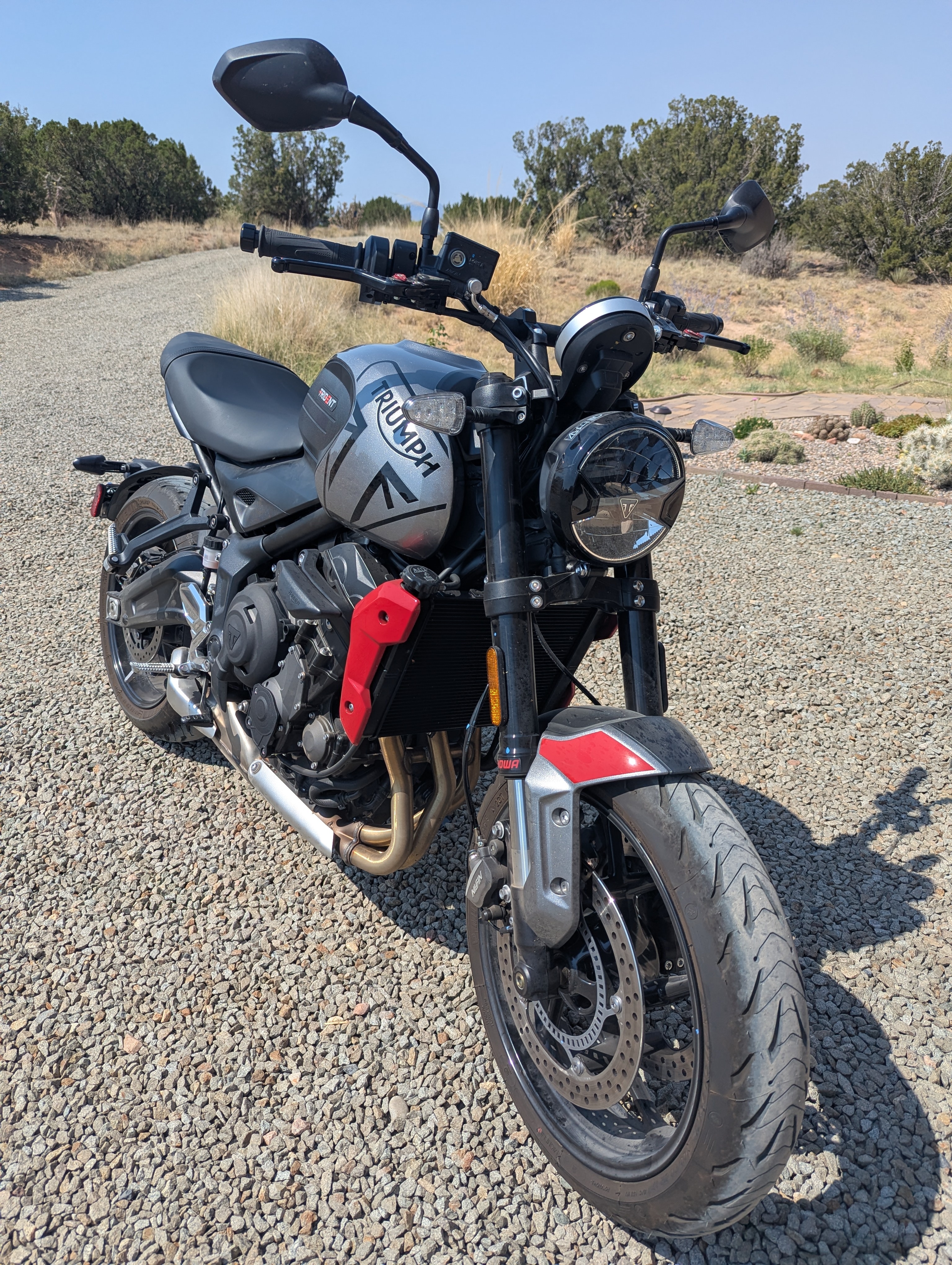 2023 Triumph TRIDENT 660 660 in Santa Fe, NM