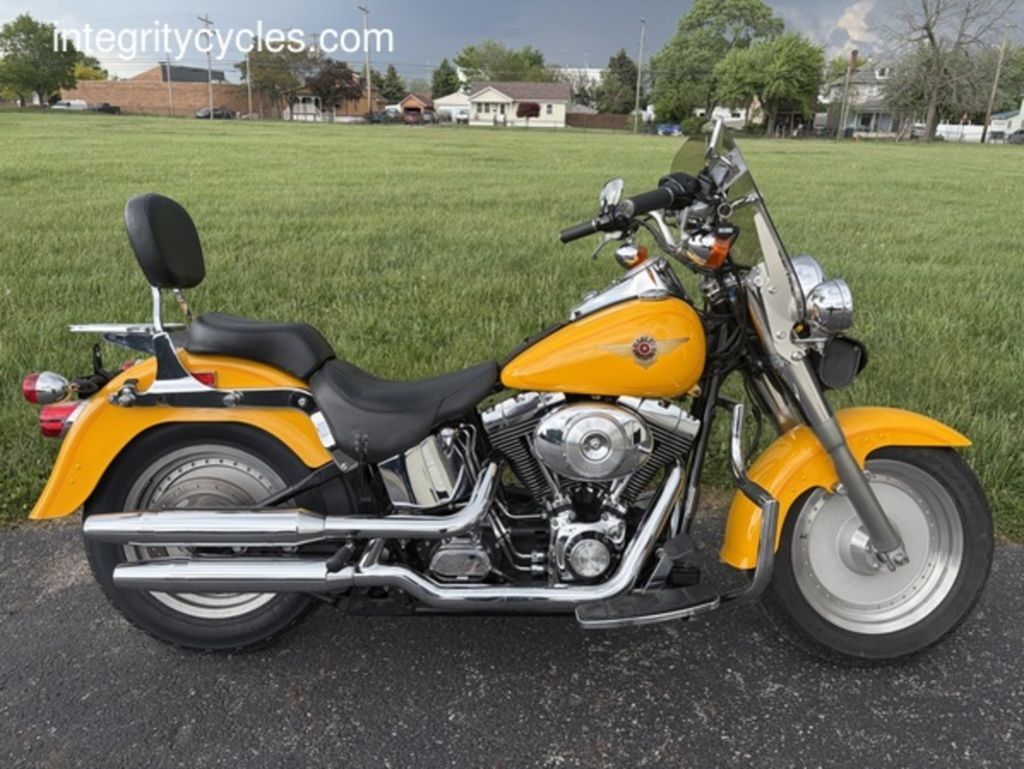 2001 Harley-Davidson® FLSTF - Fat Boy® in Lewis Center, OH