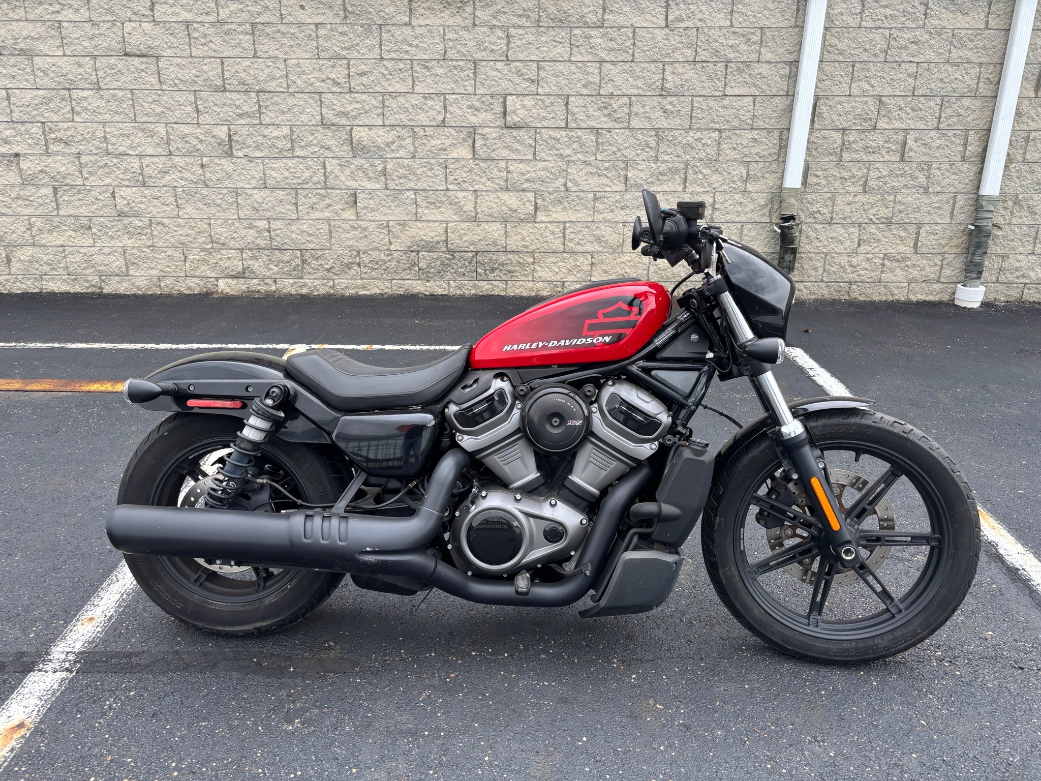 2022 Harley-Davidson Nightster™ Standard motorcycle
