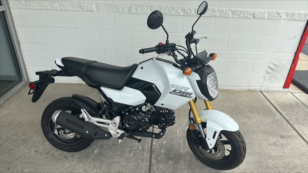 2025 Honda® Grom in Heath, OH