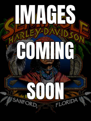 2025 Harley-Davidson Low Rider® ST ST in Sanford, FL