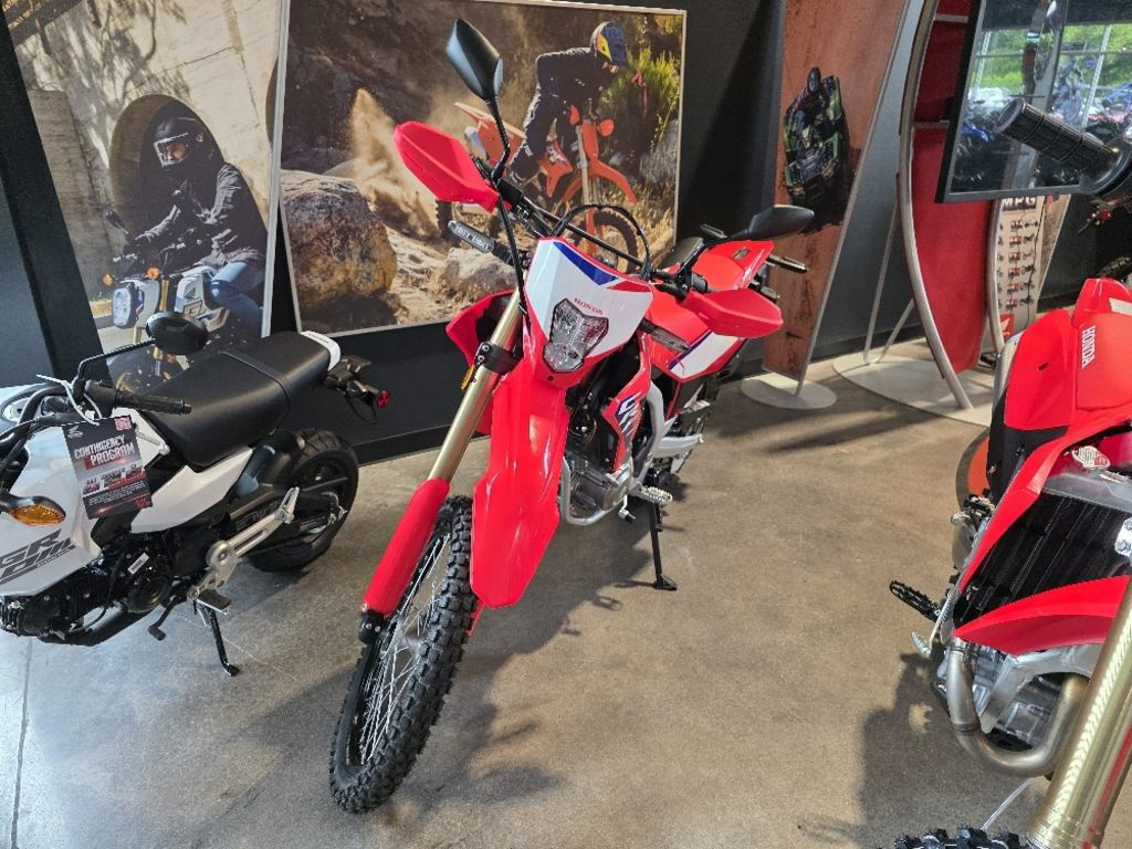 2025 Honda CRF300L ABS 300L ABS in Prince George, VA