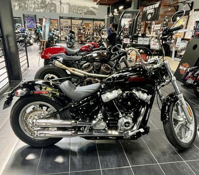 2023 Harley-Davidson Softail Standard STANDARD in Lebanon, NJ