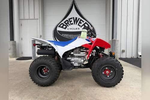 2026 Honda® TRX250X in henderson NC