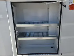 2026 CHEVROLET EXPRESS