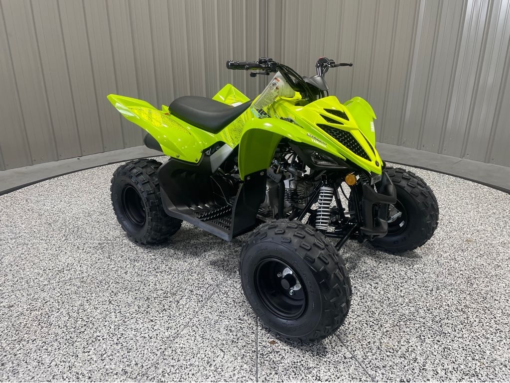 2026 Yamaha Raptor 110 in jonestown PA