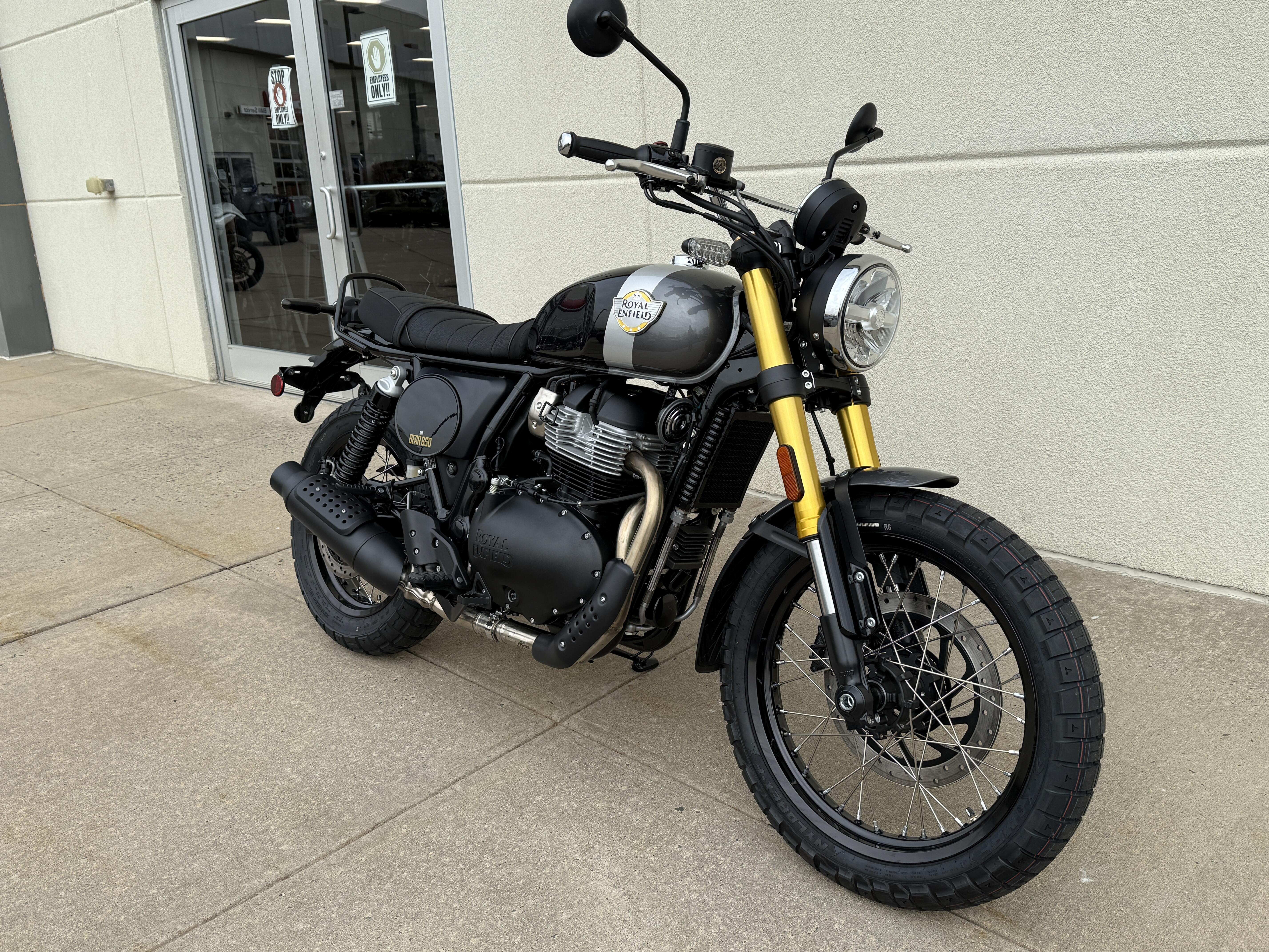 2026 Royal Enfield INT BEAR 650 650 in Metuchen, NJ