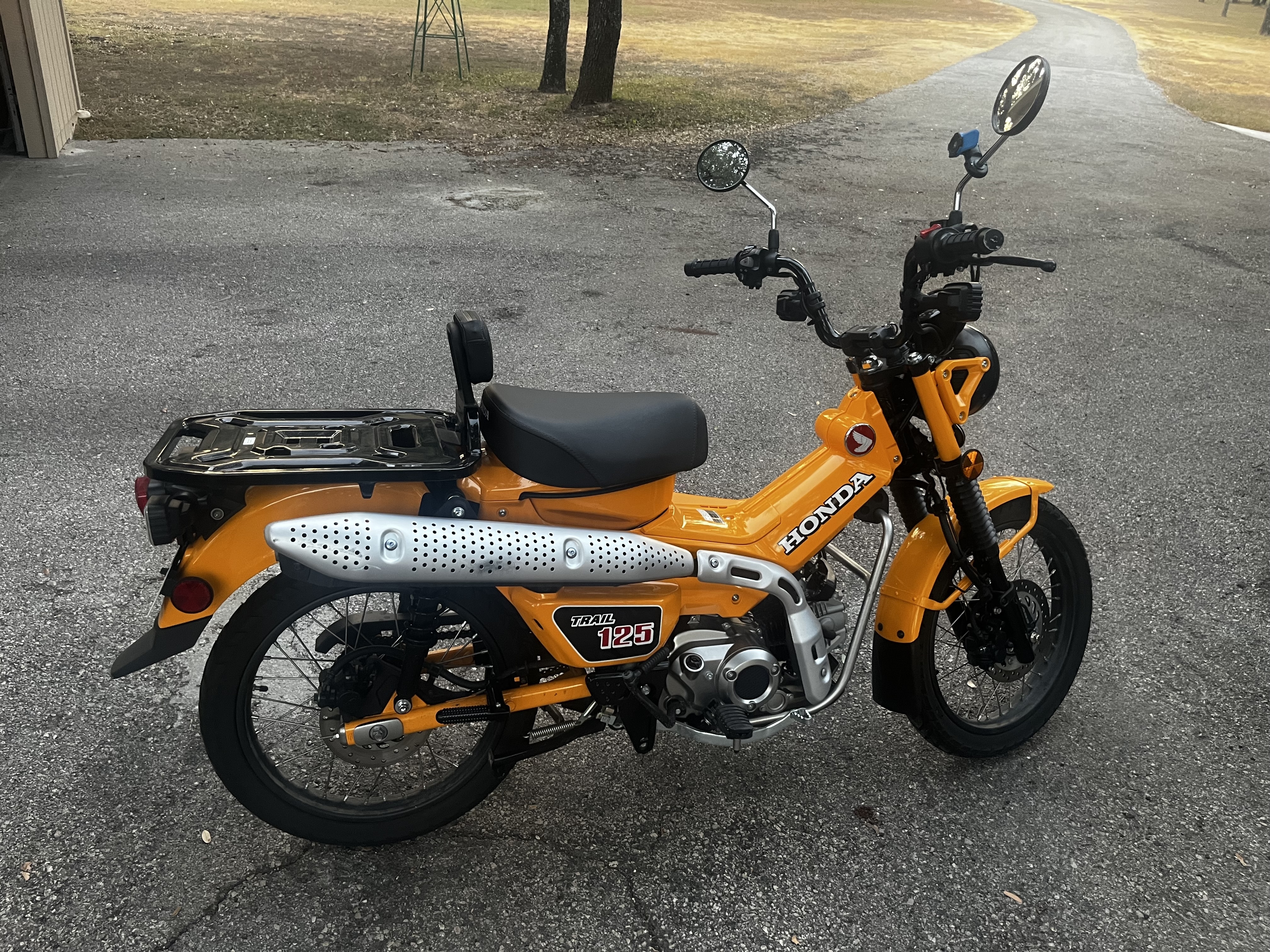 2024 Honda TRAIL 125 ABS 125 ABS in Round Rock, TX