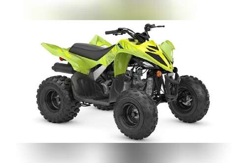 2026 Yamaha Raptor 110 in st joseph MN