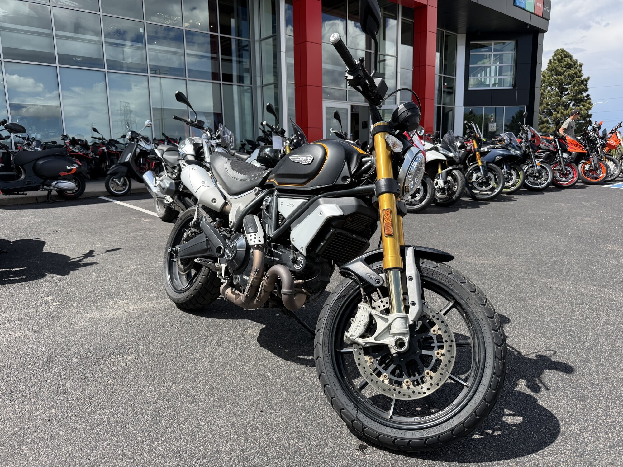 2018 Ducati Scrambler 1100 Sport 1100 SPORT in Colorado Springs, CO