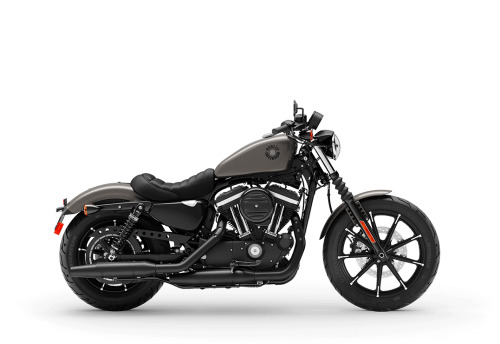 2019 Harley-Davidson Iron 883 IRON in Winterville, NC