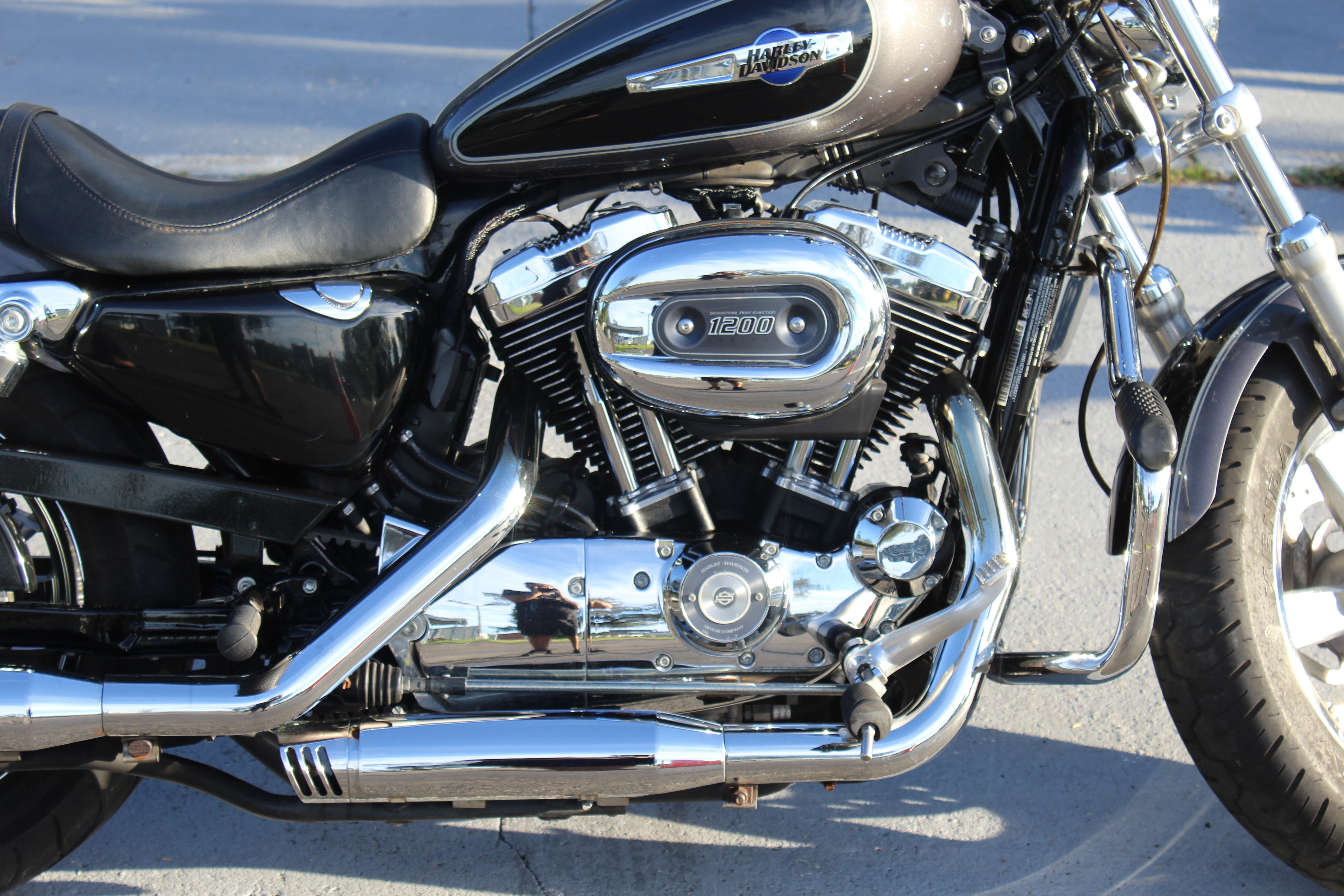 2014 Harley-Davidson 1200 Custom in brooksville FL