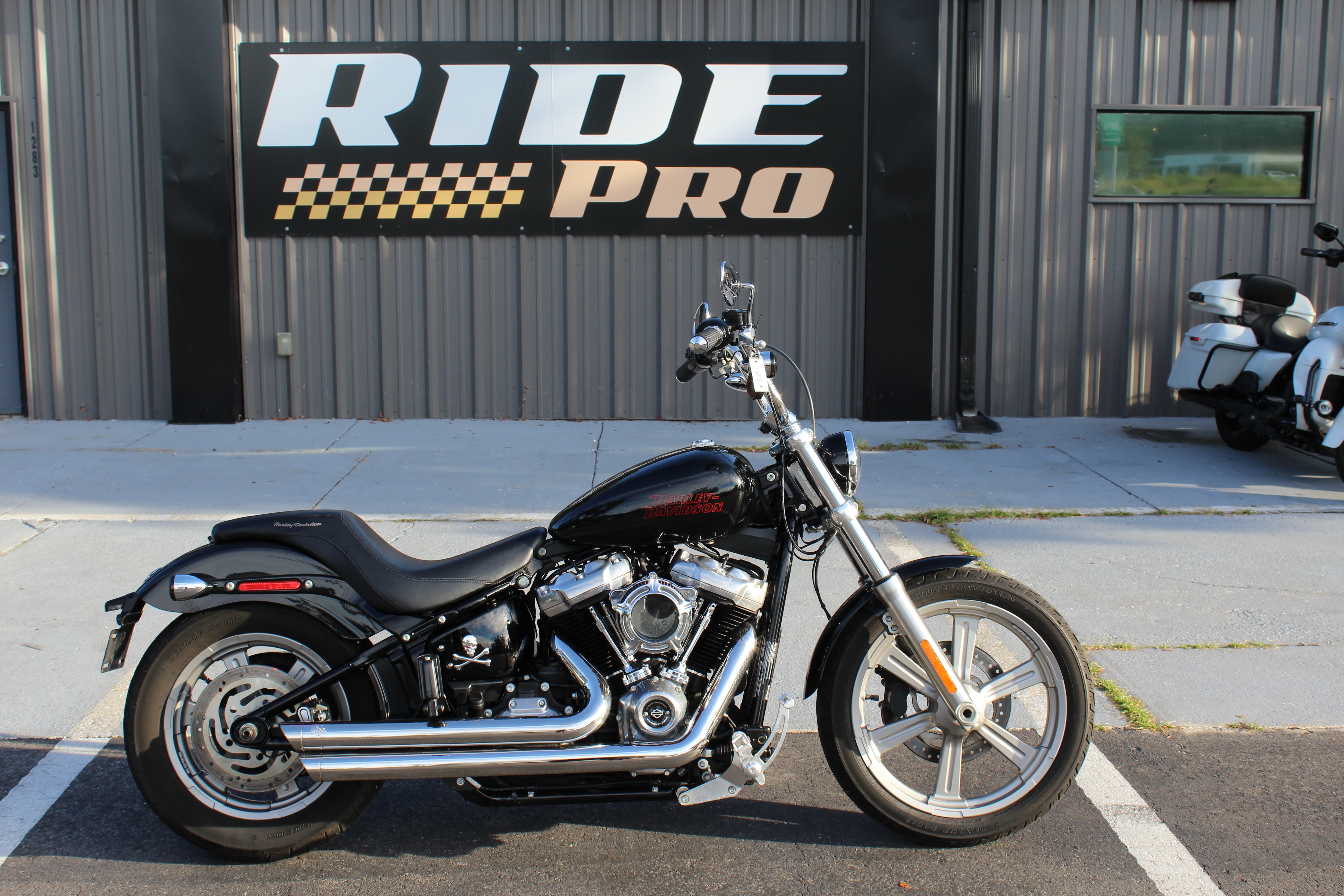 2024 Harley-Davidson Softail® Standard STANDARD in Brooksville, FL