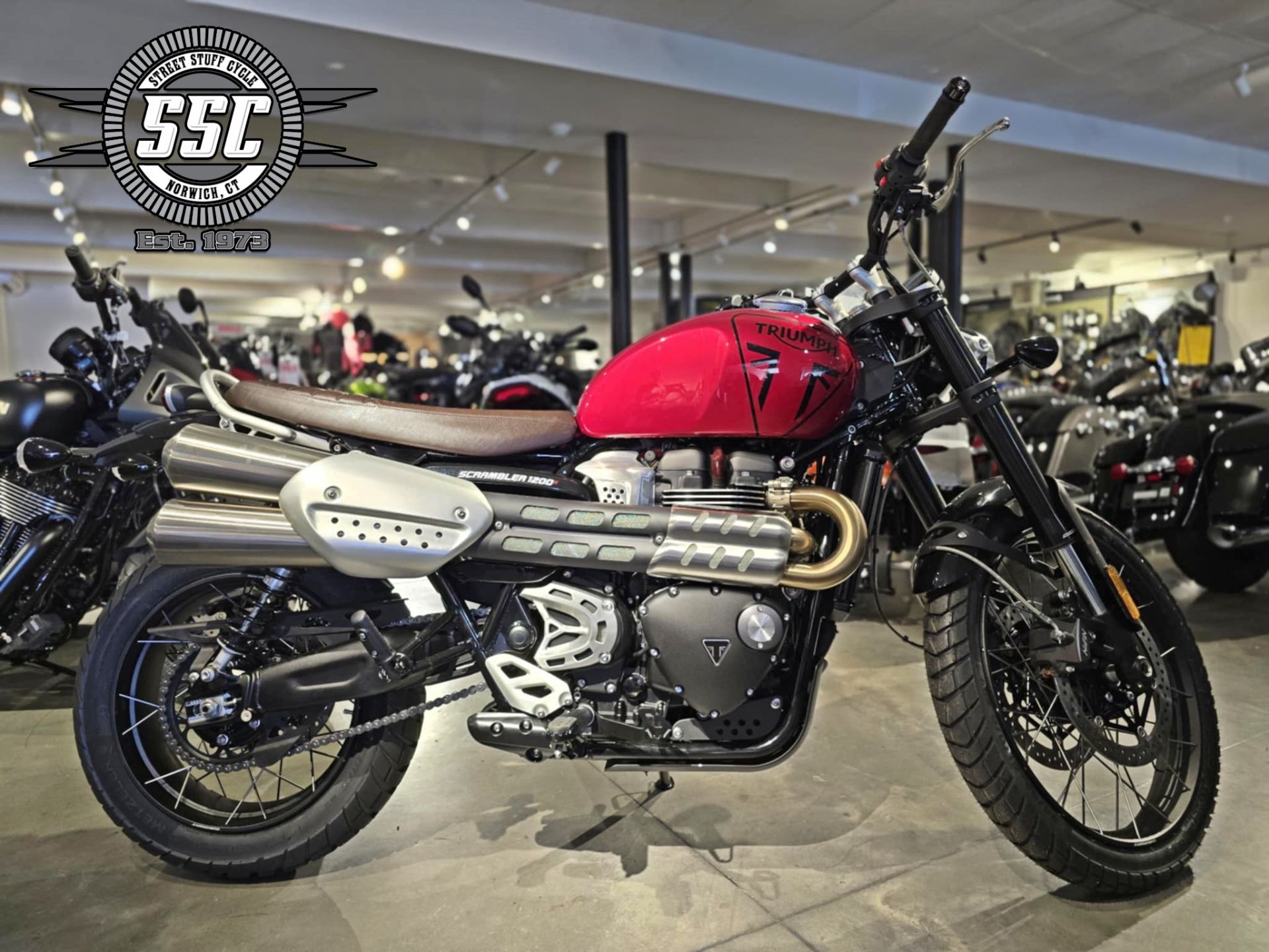 2025 Triumph Scrambler 1200 X X in Norwich, CT