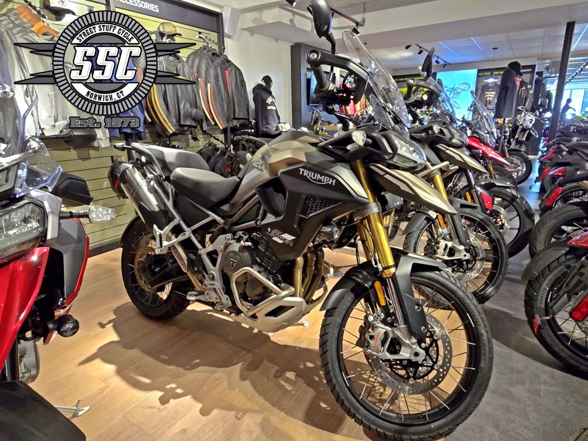 2025 Triumph Tiger 1200 Rally Pro RALLY PRO in Norwich, CT