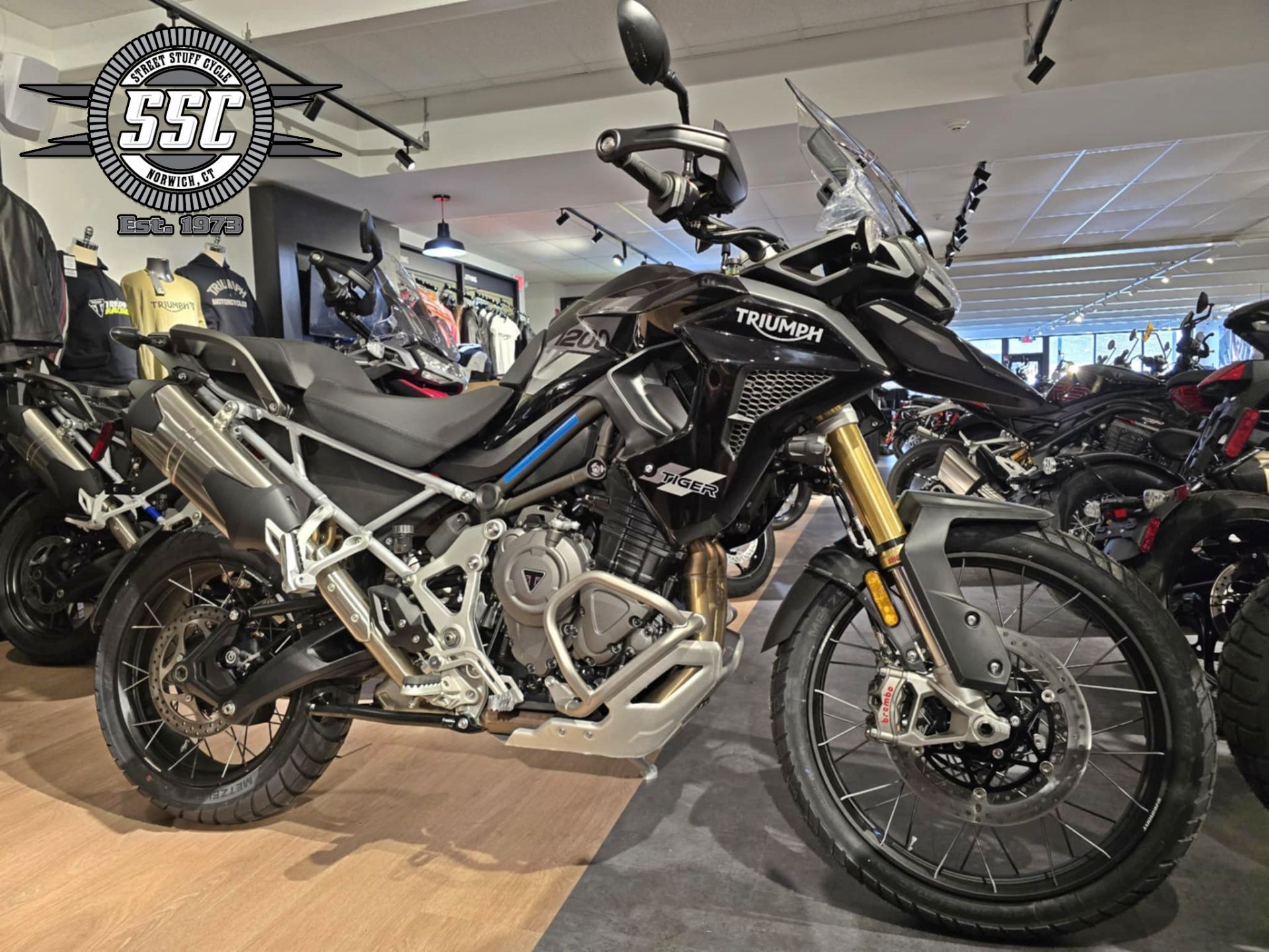 2025 Triumph Tiger 1200 Rally Pro RALLY PRO in Norwich, CT