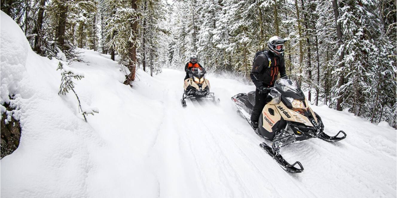 A photo of this 2017 Ski-Doo Renegade Enduro 600 HO E-TEC E.S.