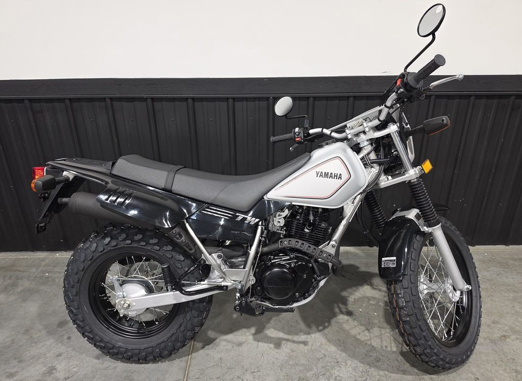 2027 Yamaha TW 200 200 in Camp Hill, PA