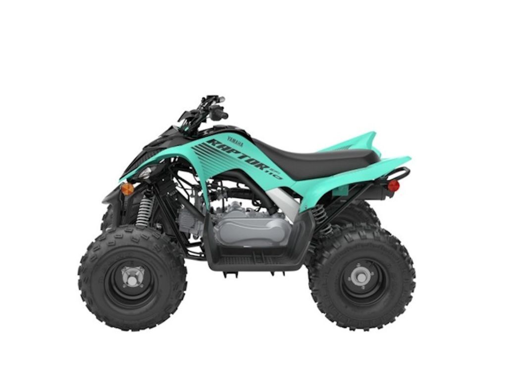 2025 Yamaha Raptor 110 in ottawa IL