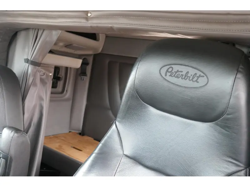 2019 PETERBILT 389