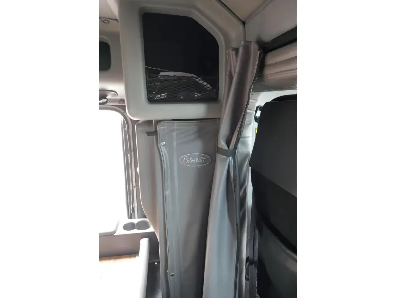 2019 PETERBILT 389