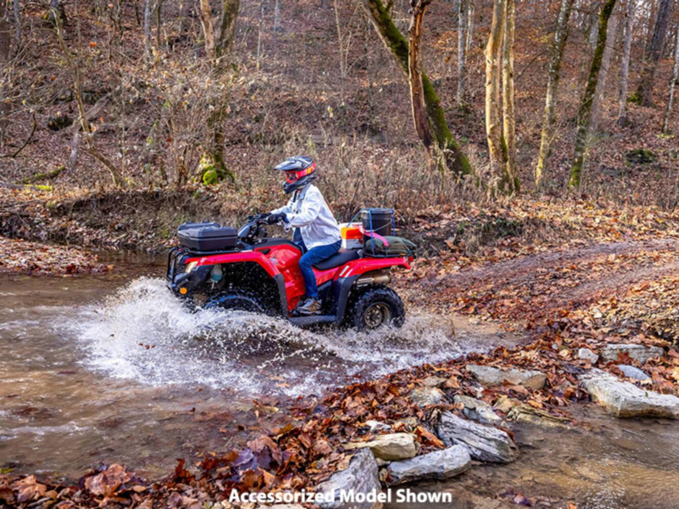 A photo of this 2024 Honda FourTrax Rancher 4x4