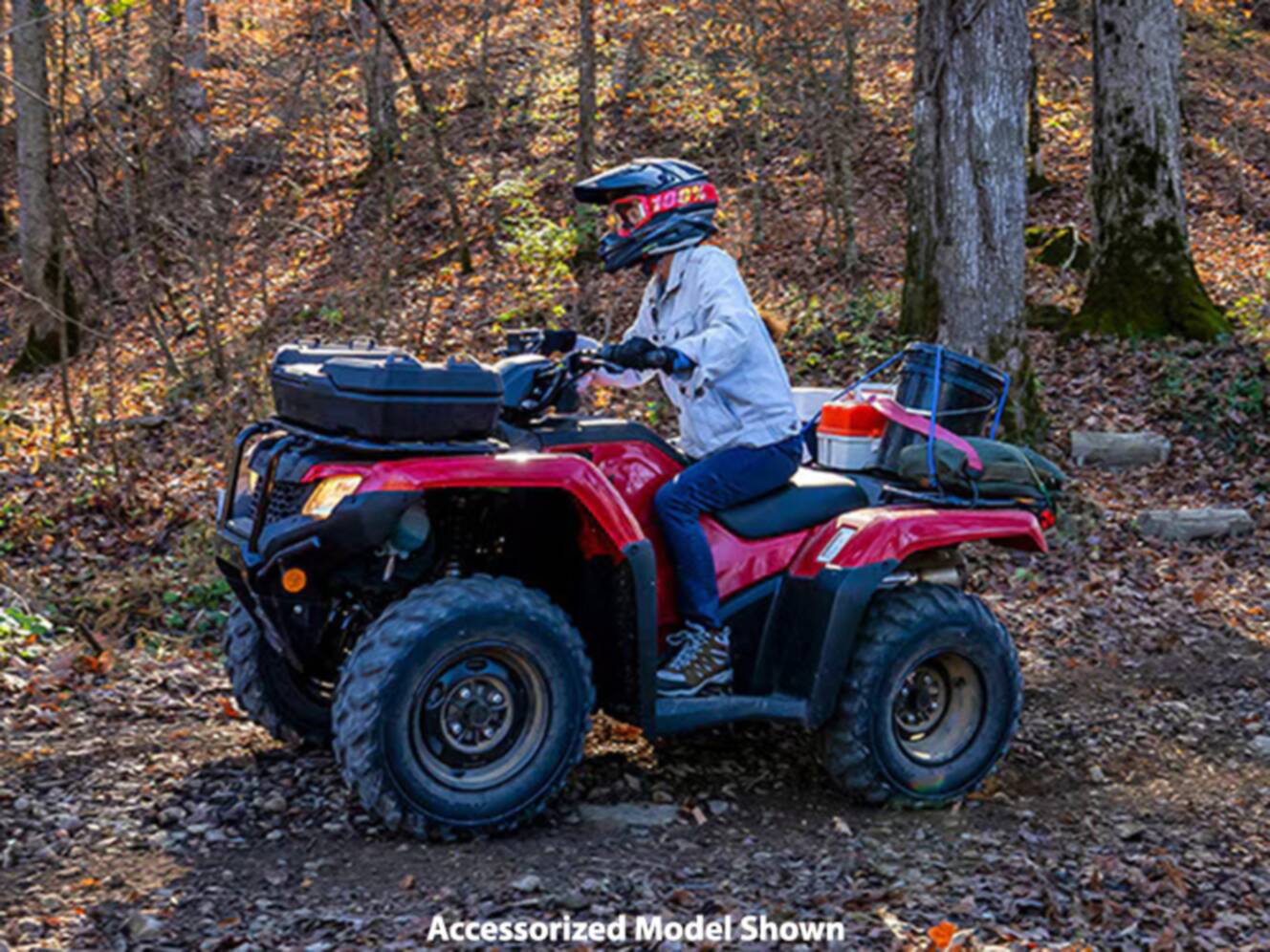 A photo of this 2024 Honda FourTrax Rancher 4x4