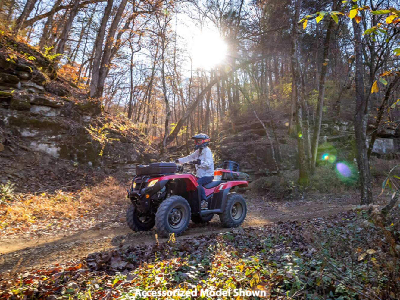 A photo of this 2024 Honda FourTrax Rancher 4x4