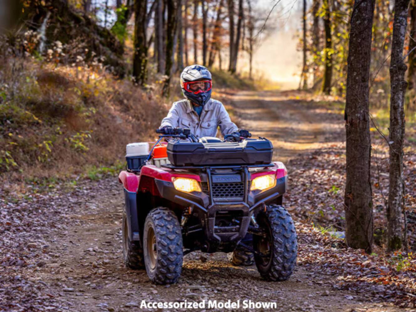 A photo of this 2024 Honda FourTrax Rancher 4x4