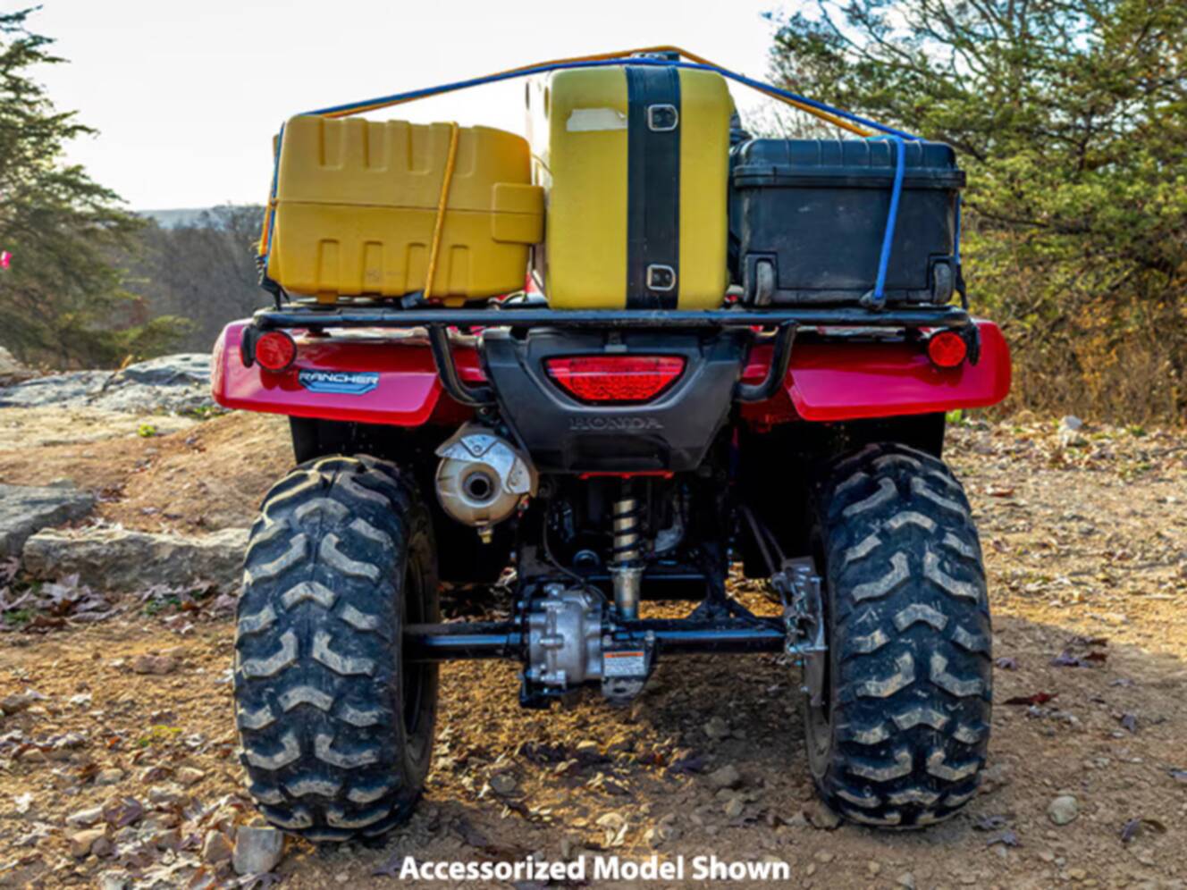 A photo of this 2024 Honda FourTrax Rancher 4x4