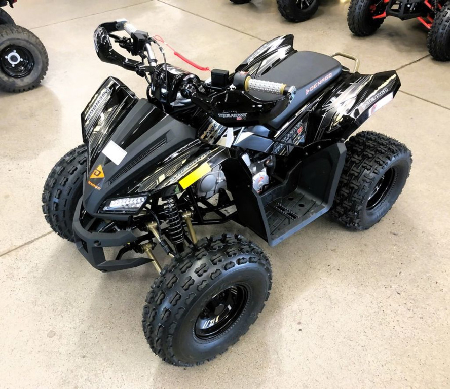 2026 Denago Powersports Trailhawk 10FI in surprise AZ