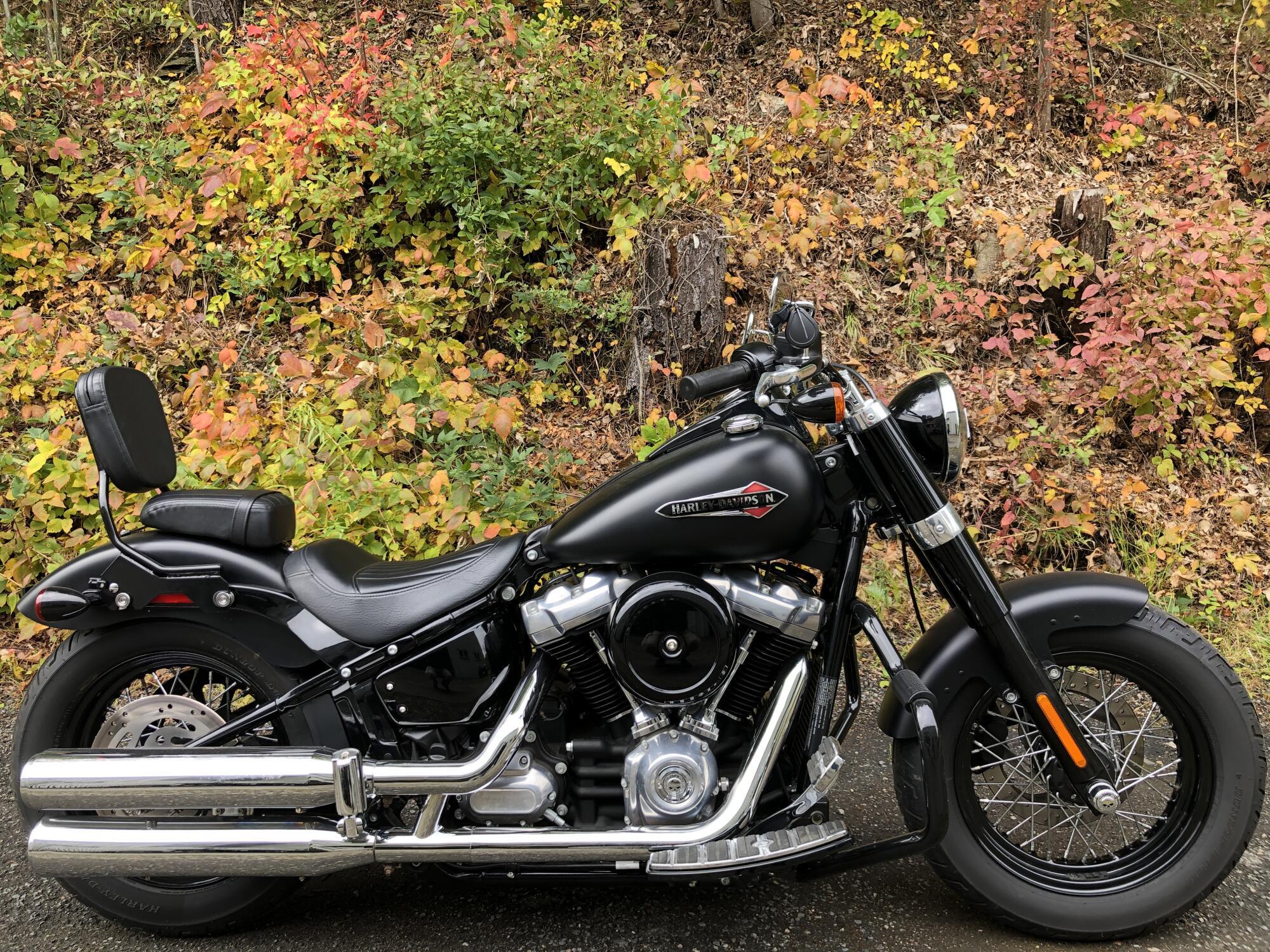 2019 Harley-Davidson Softail Slim SLIM in Bellingham, MA