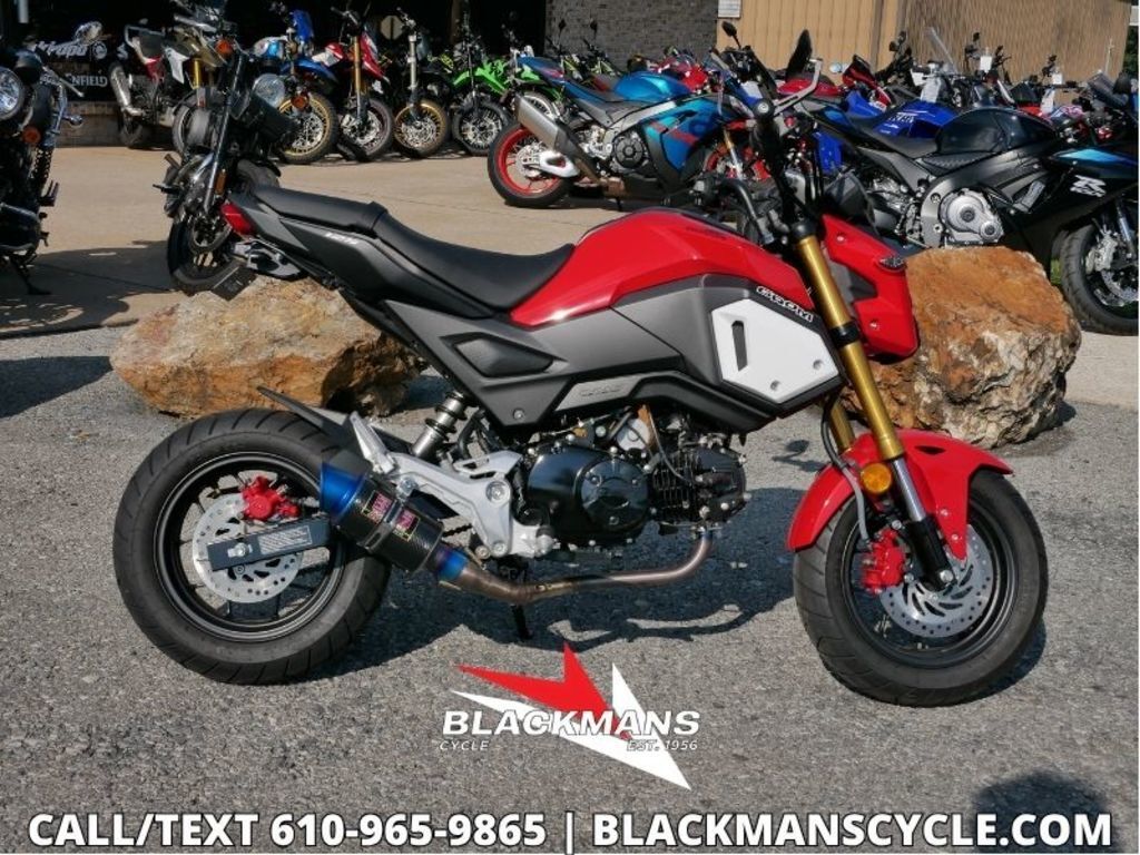 2019 Honda® Grom in Emmaus, PA