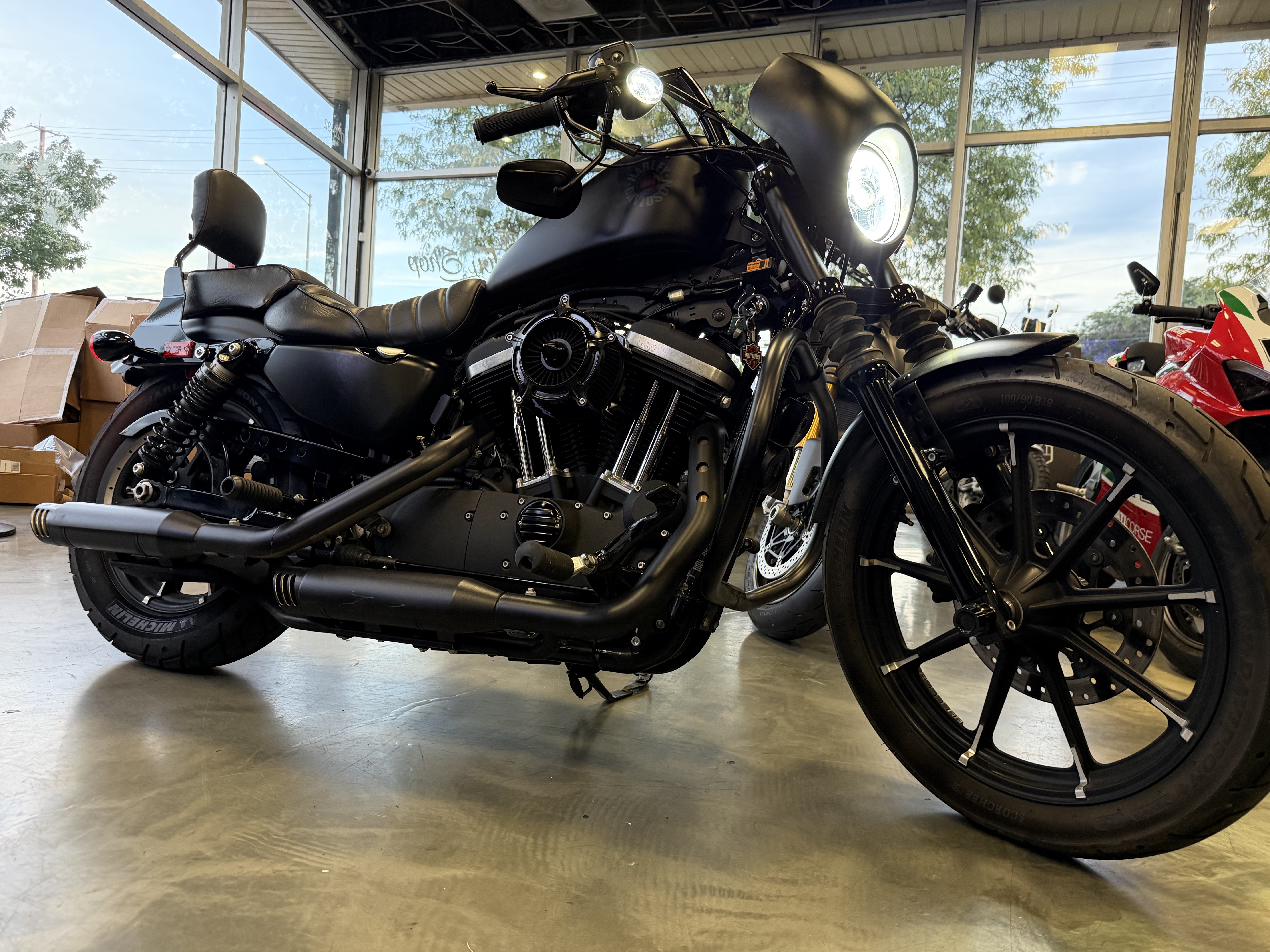 2021 Harley-Davidson SPORTSTER 883 IRON IRON in Arlington Heights, IL