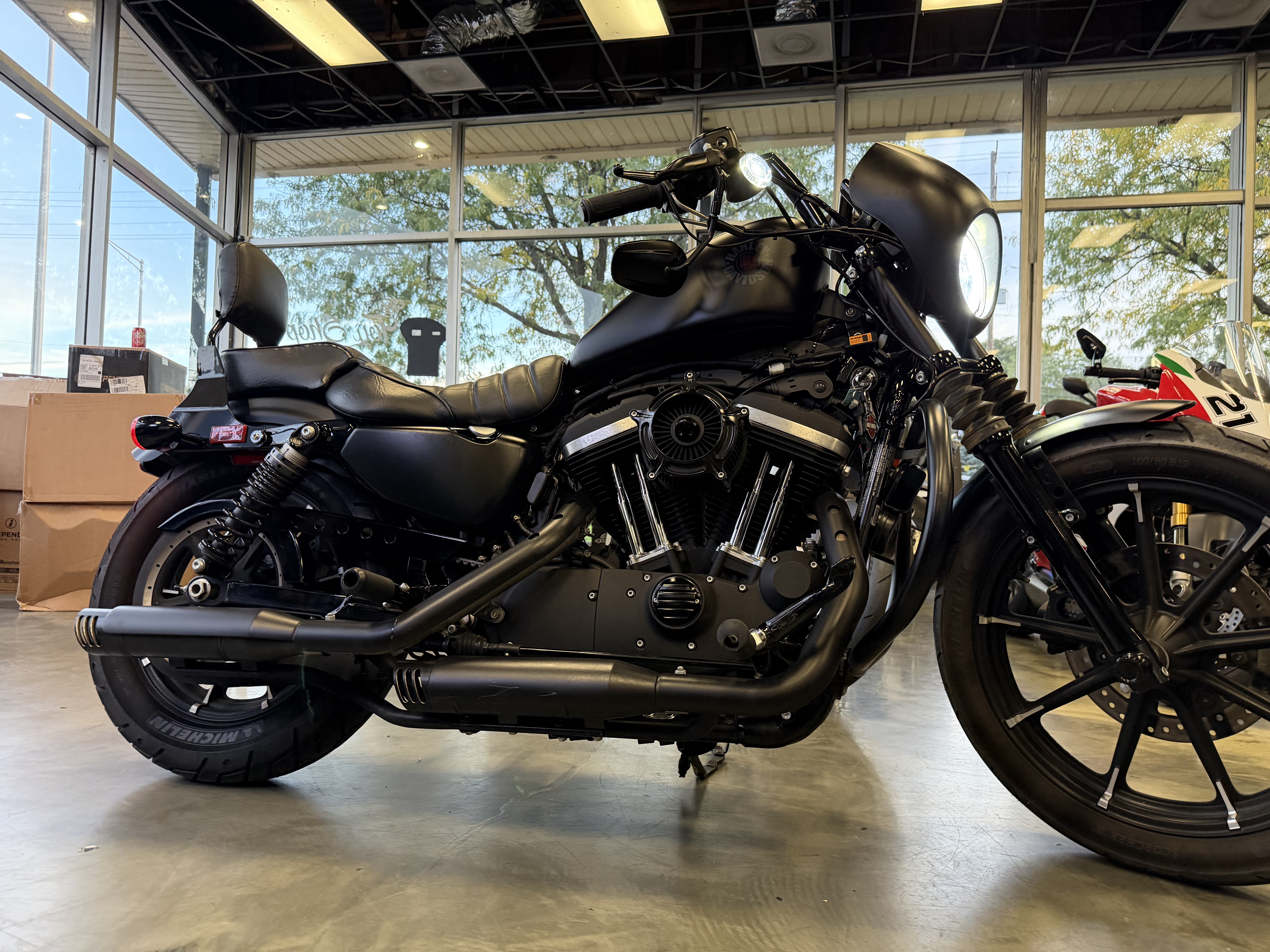2021 Harley-Davidson SPORTSTER 883 IRON in arlington heights IL