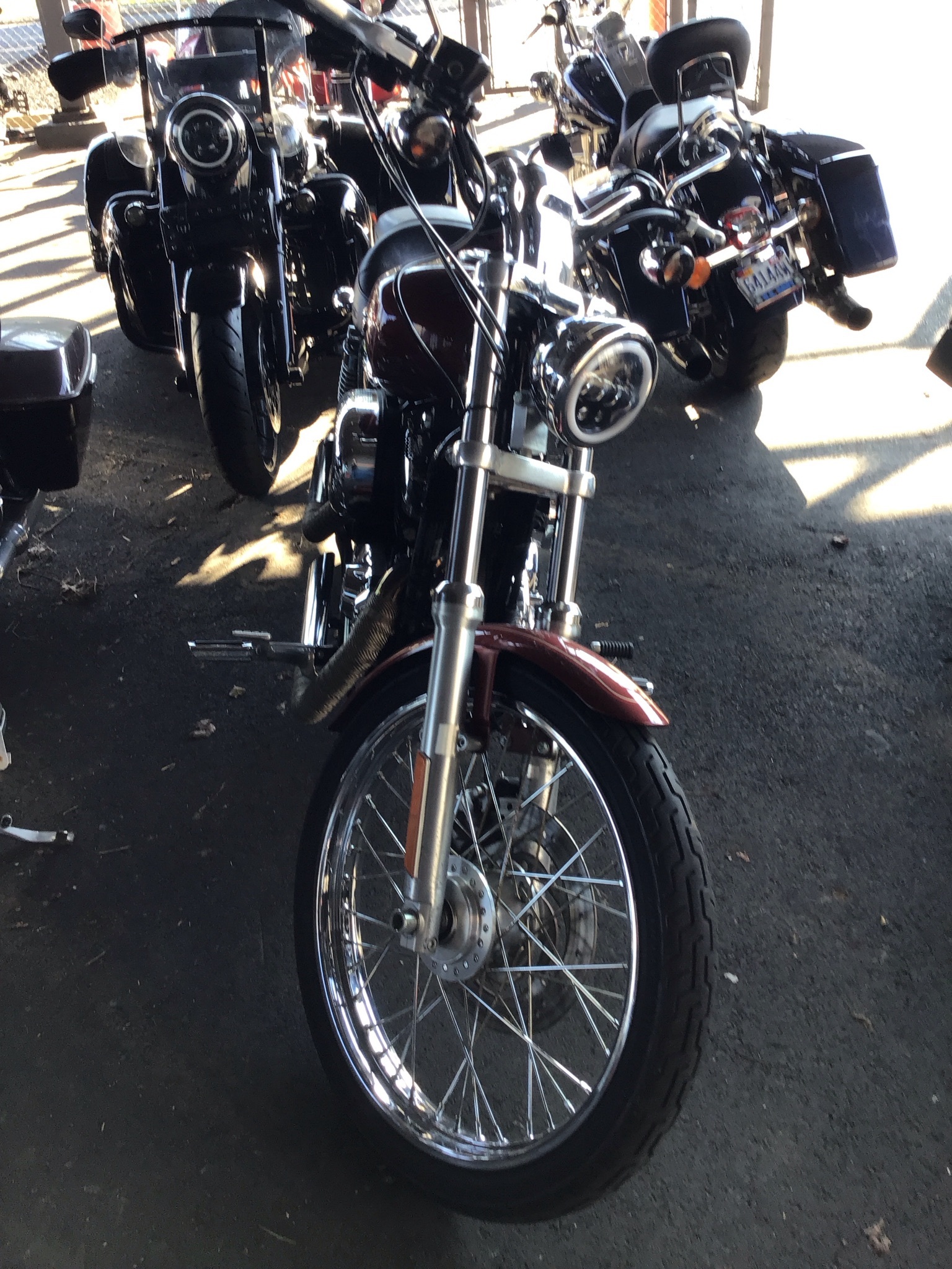 2009 Harley-Davidson Sportster® 1200 Custom in Salisbury, MD
