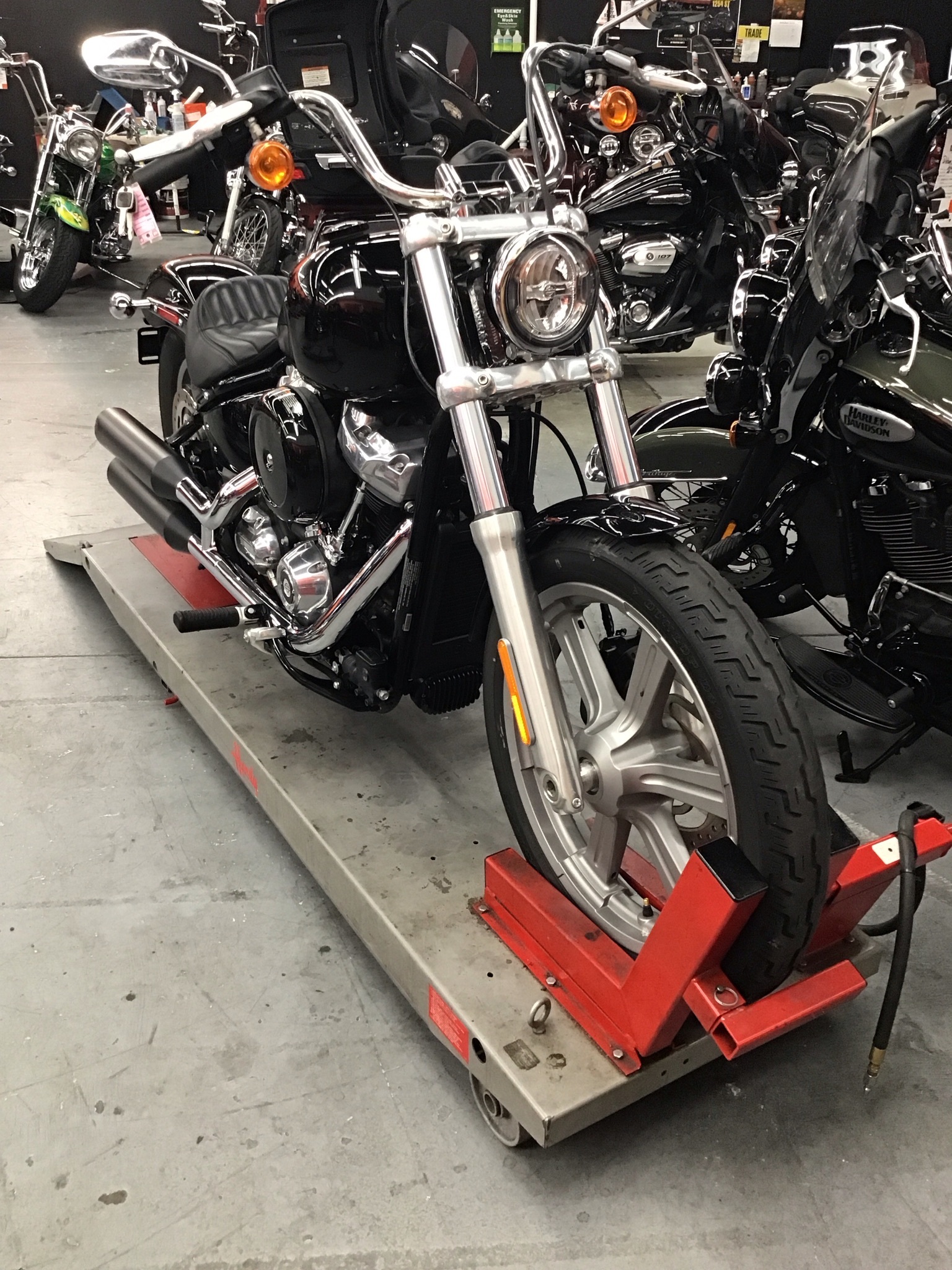 2023 Harley-Davidson Softail® Standard STANDARD in Salisbury, MD