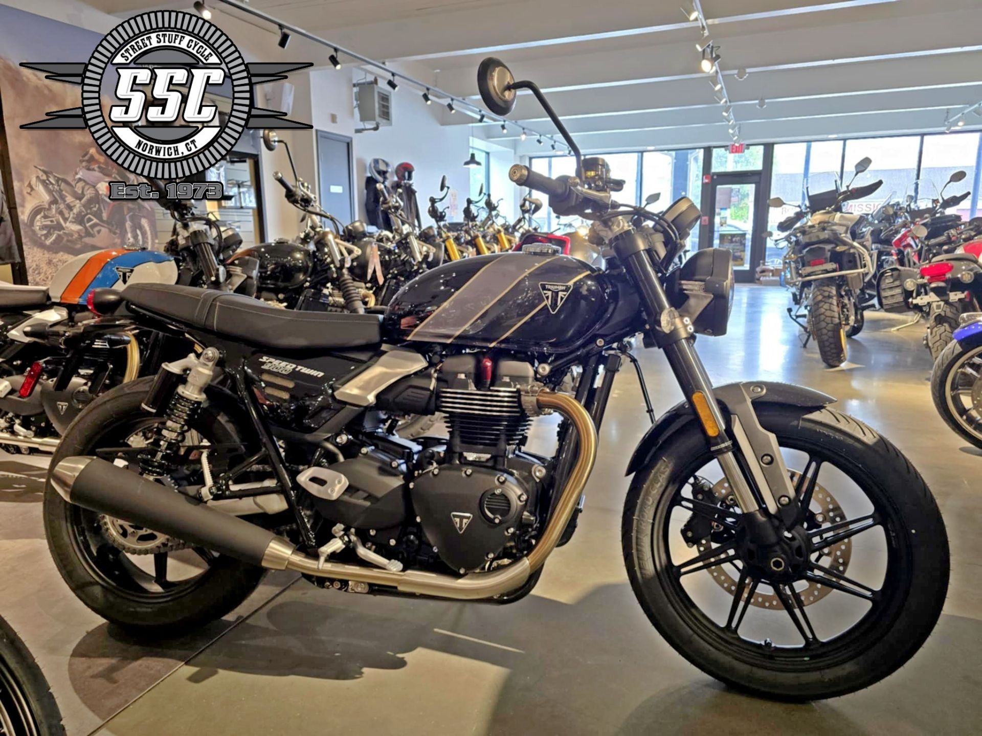 2026 Triumph Speed Twin 900 BASE in Norwich, CT