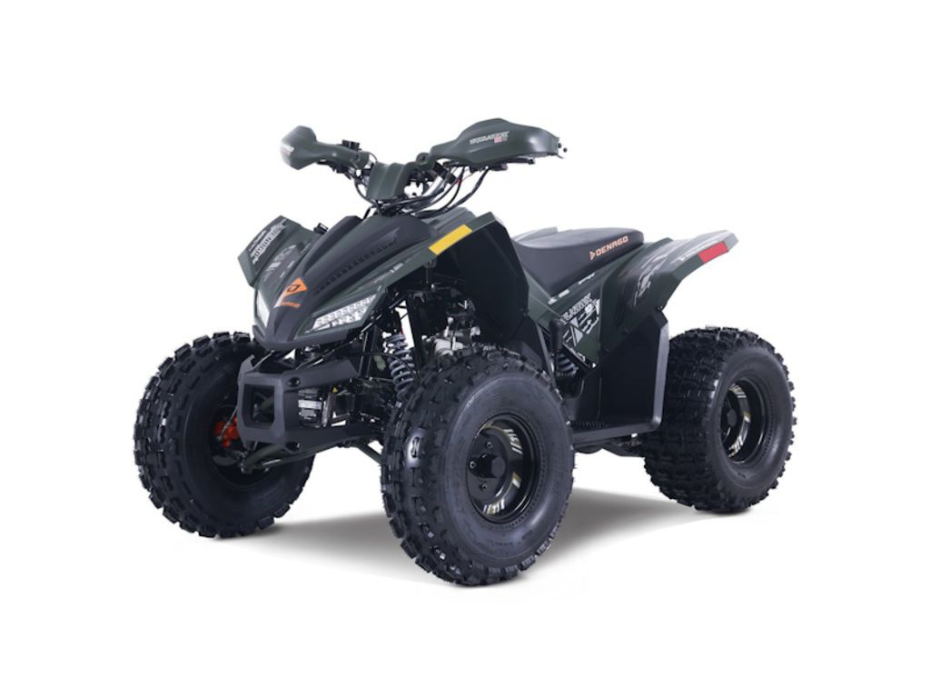 2026 Denago Powersports Trailhawk 10FI in apache junction AZ