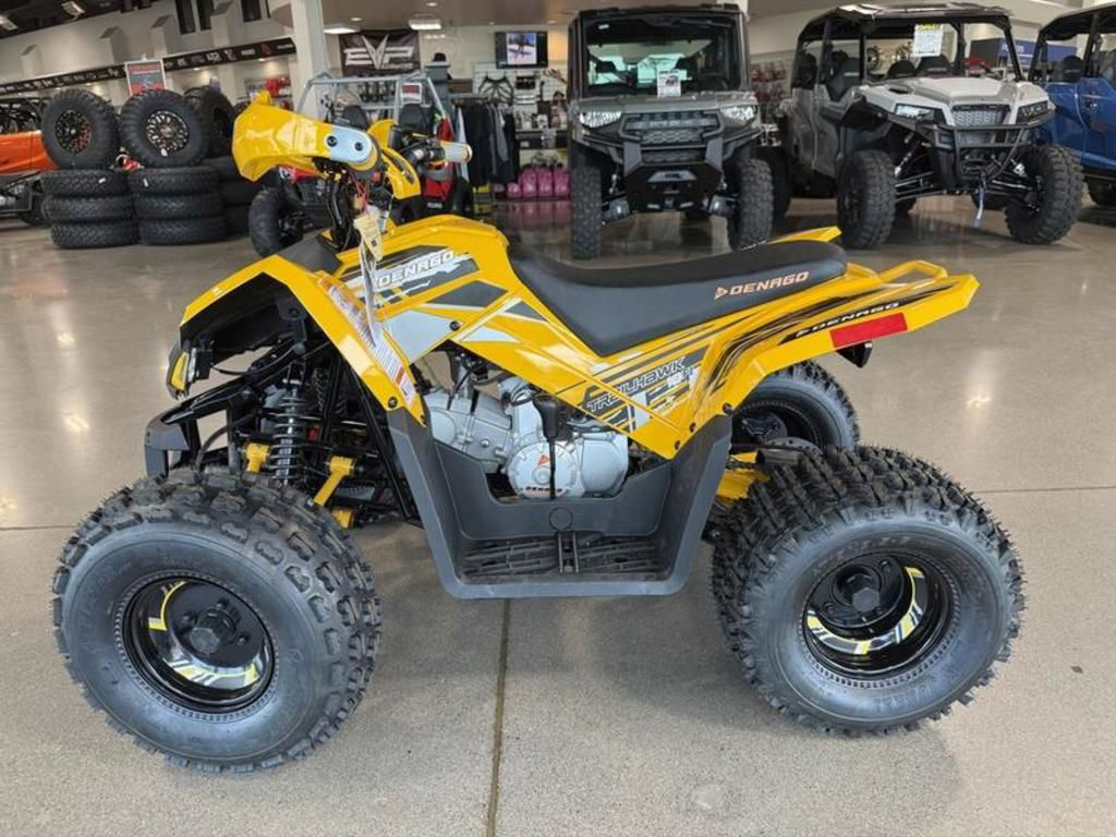 2026 Denago Powersports Trailhawk 10FI in apache junction AZ