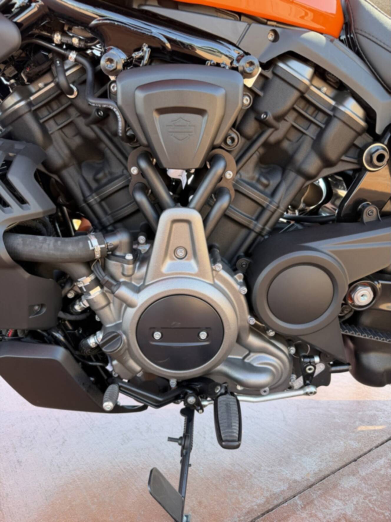 A photo of this 2024 Harley-Davidson  Sportster Nightster Special