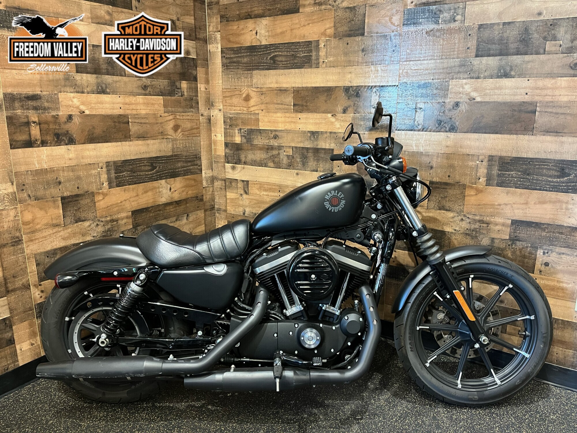 2019 Harley-Davidson Iron 883 IRON in Sellersville, PA